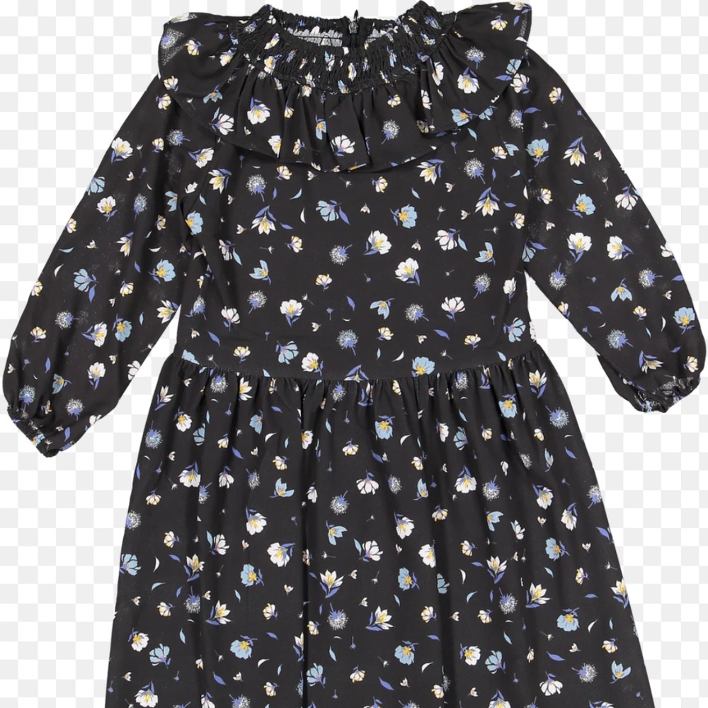 Whoopi girls floral ruffle smocked dress